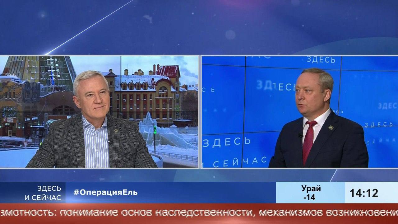 Хвойную красавицу для дома берём исключительно на ёлочном базаре