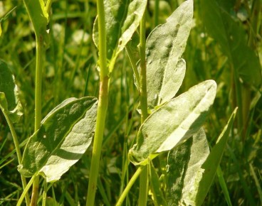 ������ ��������� ��� ���������� �� ������: ������, ������� ��������� 90% ������