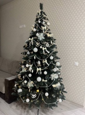 �� 2026 ���� ������� ����� ������ ����!