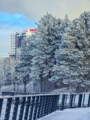 ������ ����, ���������. ����� ��� ������ ����� ����������, ������������ ���������