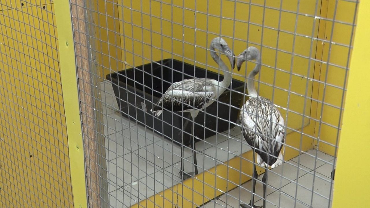 Что еще мы хотели бы вам рассказать: Что еще мы хотели бы вам рассказать: