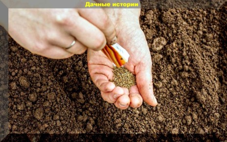 ����� ������� ������: �������� ������ ������ ������� ������