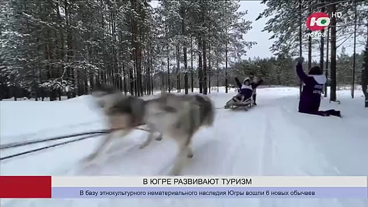 Туризм в этом году принёс округу более 12 миллиардов рублей