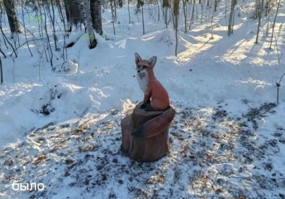 ���������� ����� ����� ��������: ���� ������ �������