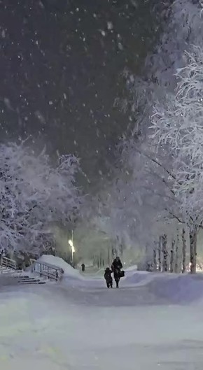 ������� �� ������ ���� �� �������