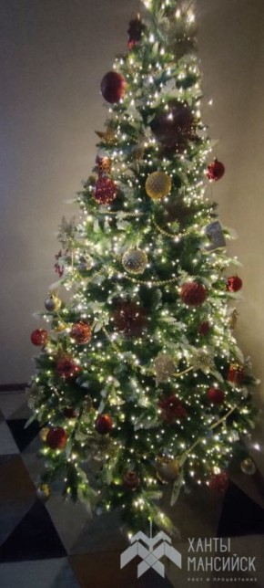 ������, ���������� ���� ���������� �����!