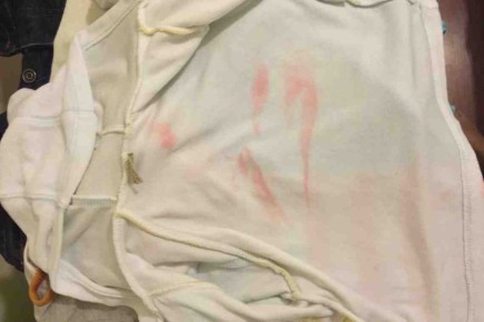 �������� �����������: �������� ������ �������� ������ �� ����������� �����