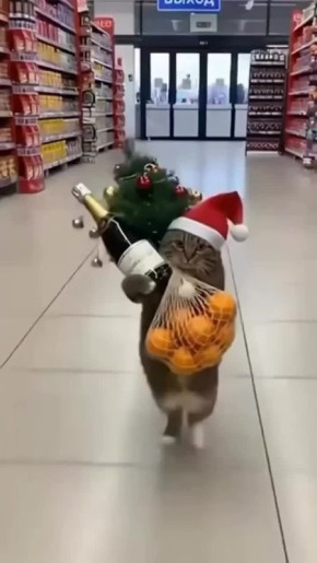 ����� ������ ������������ � �������������� ����� �� ���������