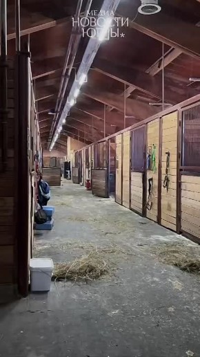 � ���� ���� ��� �������� ����������