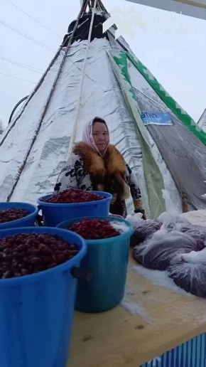 � ���������� ��������� ��������� ������� �����