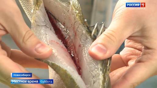 ��������� �����������: ��� �������� ���� �� ��������� �� ��������� �������