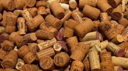 �� ������� ����������� �� ������: ������������ ���� �� �������������