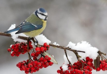 ����� � ����: ��� �������� � ���������� �� ���