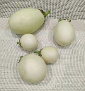 ������������� �����: ���������� ��� ������, ������� �� ������� �����������