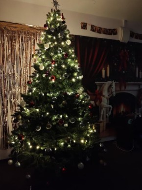 Благодарим тебя, дорогой подписчик, за то, что порадовал своей новогодней ёлкой!