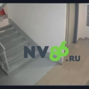 ����� �������� ���� �� ������, 37