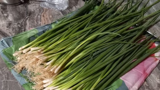 ��������� ������������ � ������ �����: ��� ����������� ���� ��������� ������ ��� �����������