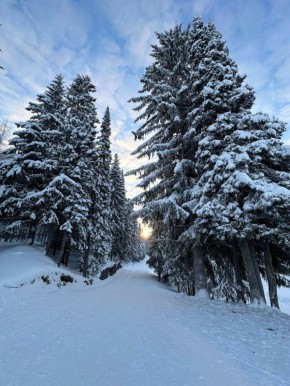 Снег превращает мир в сказку