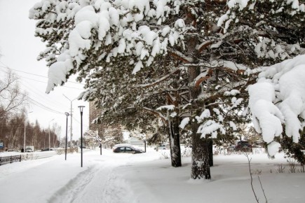 ����� ������? � ���� � ��������� ��� ��������� ������� ������