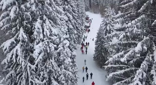 �� ����, ��� ����������� ��� �������� ��� �������