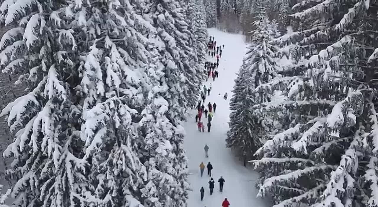 Мы ждем, что наступивший год исполнит все желания