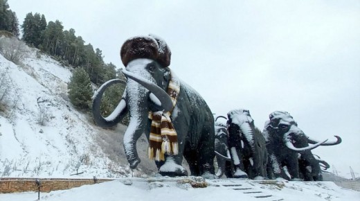 ���������� ������������ � ������������ ����� ������ �������