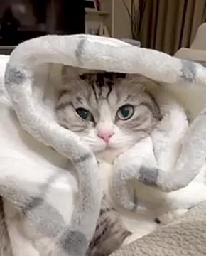 В Югре в ближайшие дни ожидаются сильные морозы