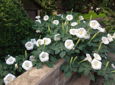 �������� ��� ������ ������: ��� �������� ������� ��� ����� �����