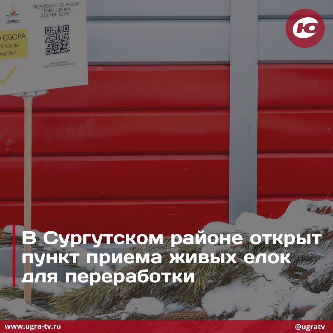 Вторую жизнь предлагают подарить новогодним символам в Сургутском районе