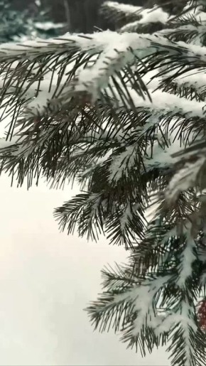 Счастье бывает очень разным