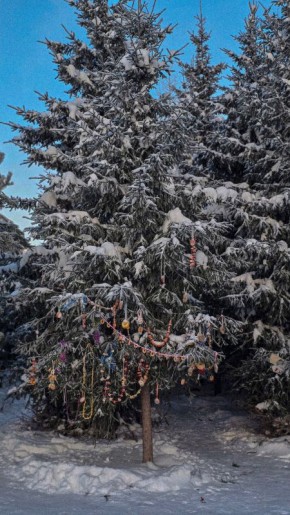 Счастье находится внутри нас, и оно рождается, когда мы делимся своей радостью с другими