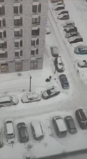 Москвичи, когда север поделился с ними 5% своего снега