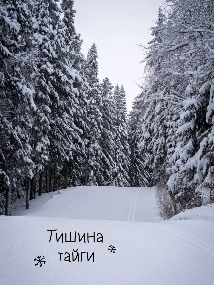 Январь в Югре — это время, когда зима проявляет себя во всей красе Январь в Югре — это время, когда зима проявляет себя во всей красе