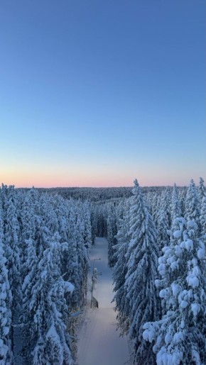 Вне зависимости от того, о чем вы мечтаете — начинайте над этим работать! И тогда в вашей жизни начнут происходить самые настоящие чудеса!