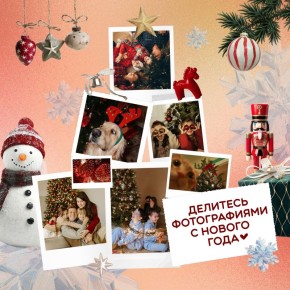 Первые дни нового года в кадре