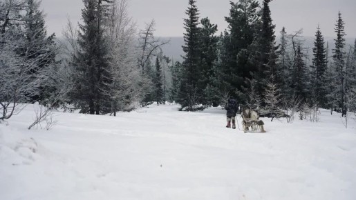 � ���� �� ��������� � ��������� �������� ������ ������� � ������������