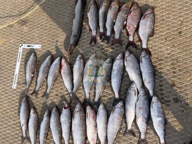 ������ ������������ ���������� ����� ����� �� ���������� ����� ����