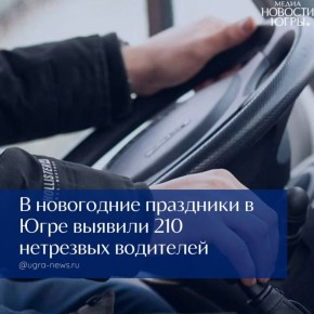 � ���������� ��������� � ���� ������� 210 ��������� ���������