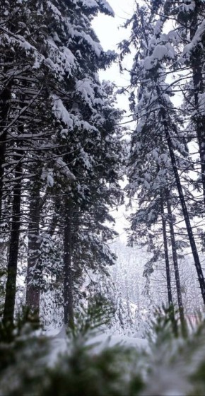 ����� - ��� ����������, � ���� ������� ������� ����������