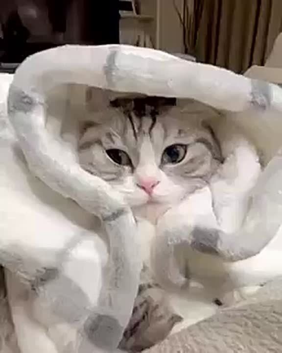 � ���� � ����� ������ ��������� ������ �� 44 ��������