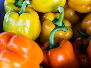 ��� ������ ����� �� �������� ��������� �����: ������ � �������� �������