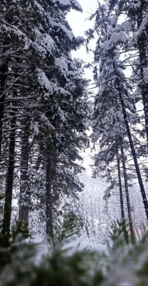 Жизнь - это волшебство, и вкус каждого момента неповторим