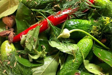 ������ ��� ������: �������, ������� ������� ���� ���������