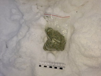 ��������������� ������������ ����������� ��������� ���������, �������������� � ���������� ������� ����������