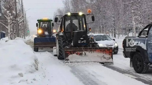 ���� �� ������ � ������ ����� � ������ ������������ �� 15 ������