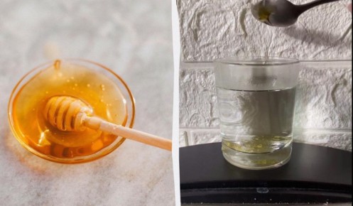 ��� �� ����� ������� ��������: ������� ������������� ������������ ����