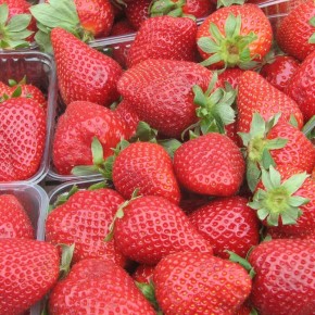 ������ �������� � ������� ��������� ����