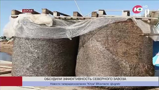 ����� 33 ����� ���� ������ �������� � ���� � ������ ��������� ������