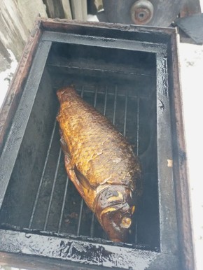 ��������� ������: ��� ������ ��������� �������� ����