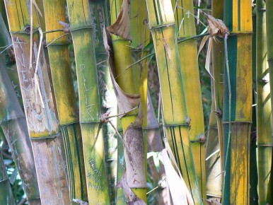 ��� �������� ������, ����� �� ���� ������� ������ ����, � �� ���������